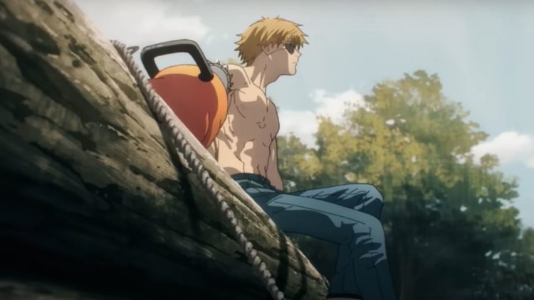 Denji from Chainsaw Man