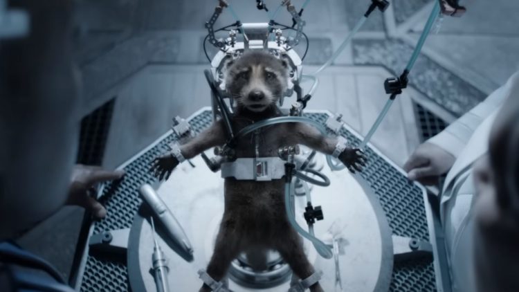 Young Rocket being experimented on in Guardians of the Galaxy Vol. 3