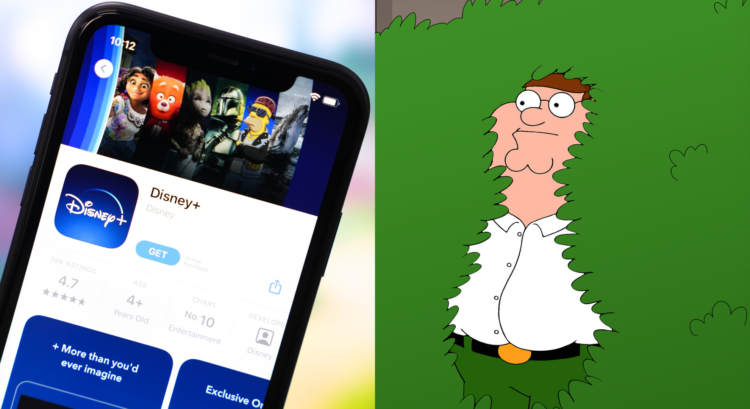 Left image shows the Disney+ app logo, right image shows Family Guy character Peter Griffin disappearing into a bush.
